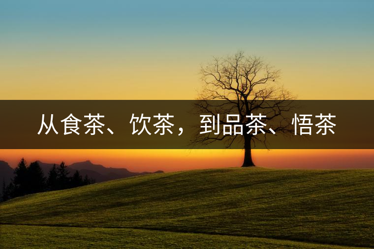 從食茶、飲茶，到品茶、悟茶