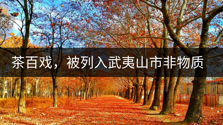 茶百戲，被列入武夷山市非物質(zhì)文化遺產(chǎn)的茶湯