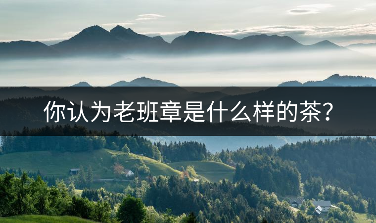 你認(rèn)為老班章是什么樣的茶？