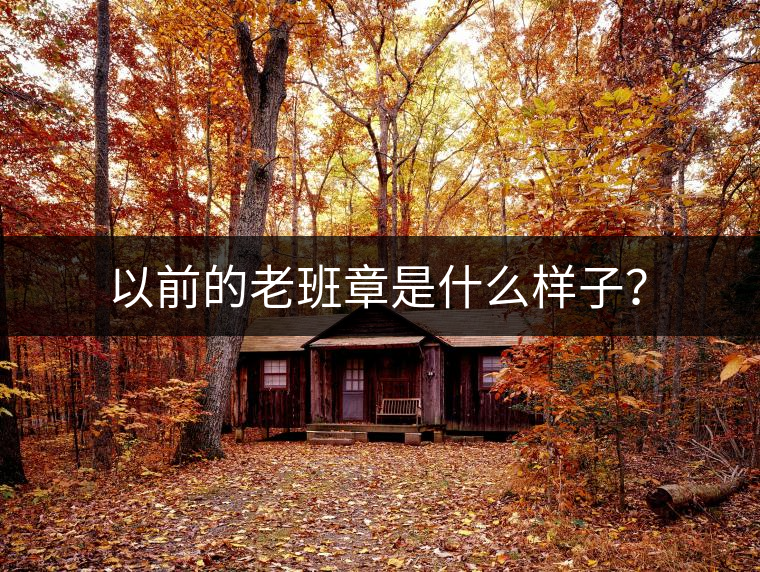 以前的老班章是什么樣子？
