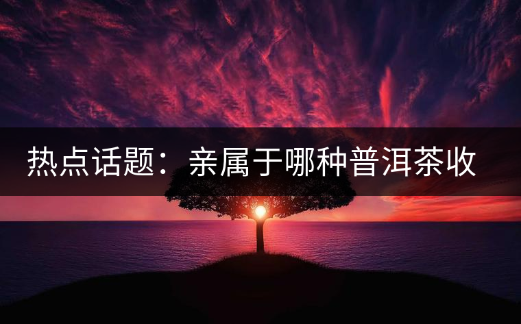 熱點(diǎn)話題：親屬于哪種普洱茶收藏者？