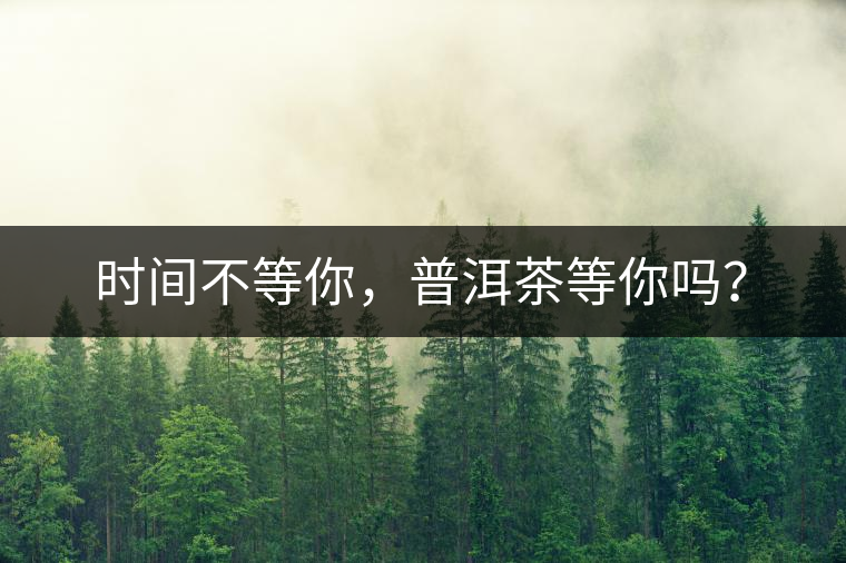 時(shí)間不等你，普洱茶等你嗎？