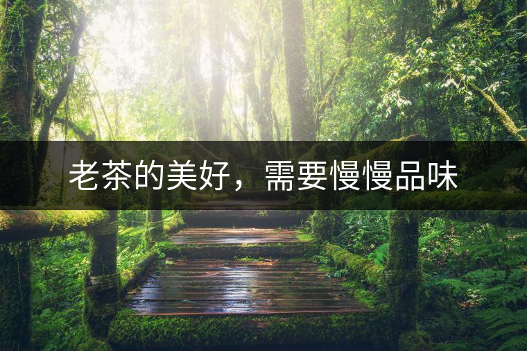 老茶的美好，需要慢慢品味