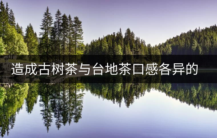 造成古樹茶與臺地茶口感各異的原因 造成古樹茶與臺地茶口感各異的原因