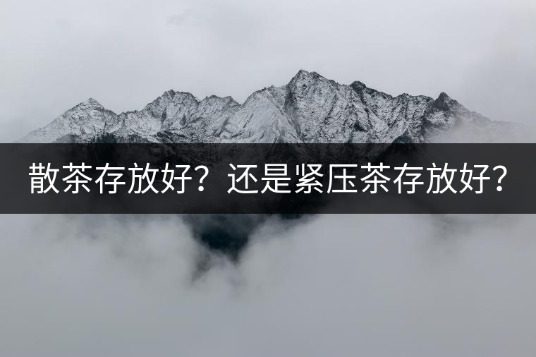 散茶存放好？還是緊壓茶存放好？