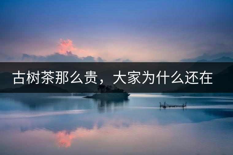 古樹(shù)茶那么貴，大家為什么還在瘋狂追求？