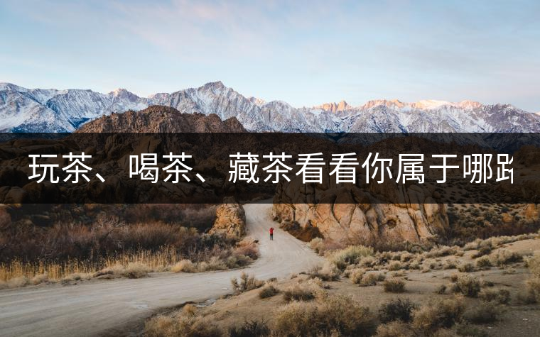 玩茶、喝茶、藏茶看看你屬于哪路茶神！