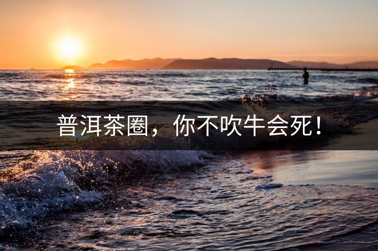 普洱茶圈，你不吹牛會(huì)死！