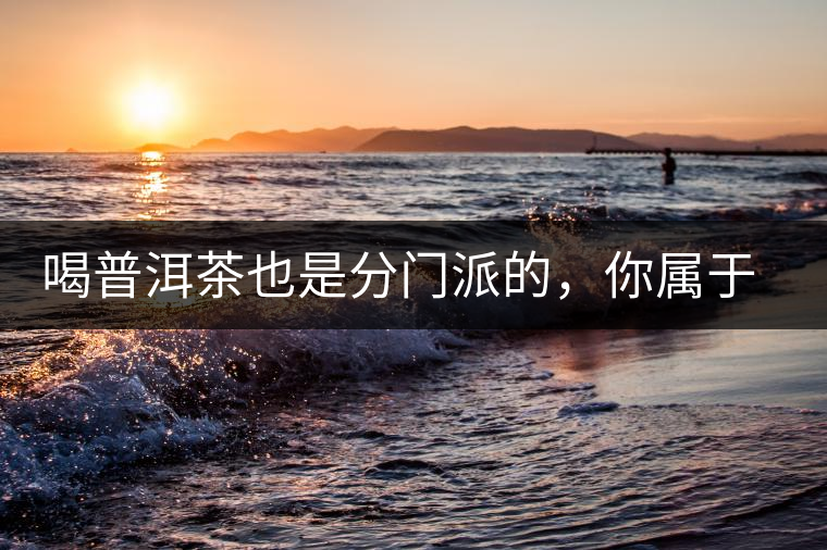 喝普洱茶也是分門派的，你屬于哪派呢？