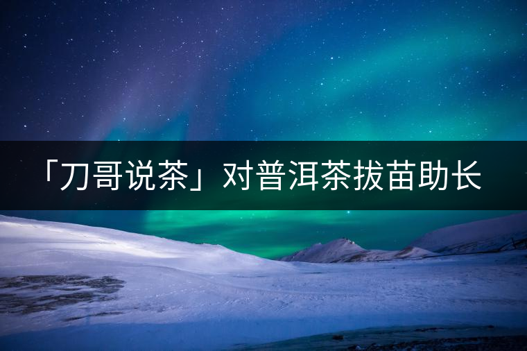 「刀哥說茶」對普洱茶拔苗助長的做舊就是在作死 「刀哥說茶」對普洱茶拔苗助長的做舊就是在作死