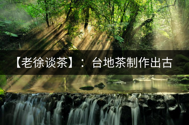 【老徐談茶】：臺地茶制作出古樹茶口感？只需一招，輕松騙過你 ?