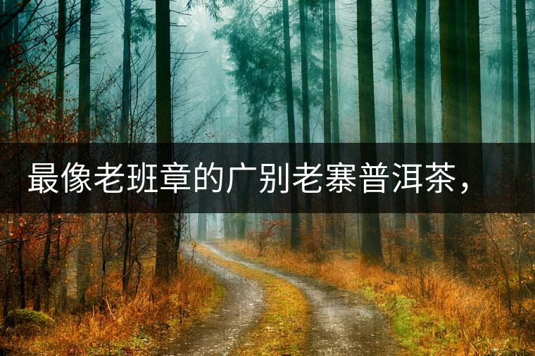 最像老班章的廣別老寨普洱茶，卻是冰島派來的臥底