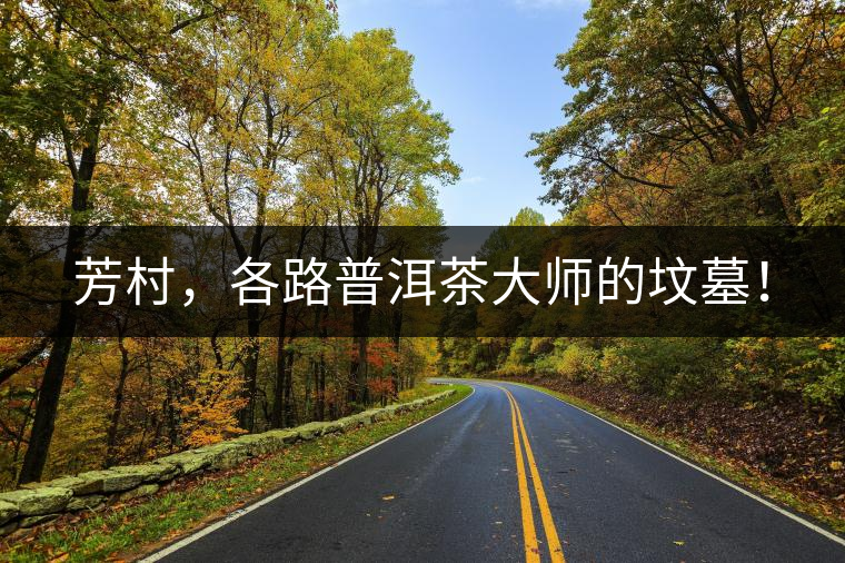 芳村，各路普洱茶大師的墳墓！