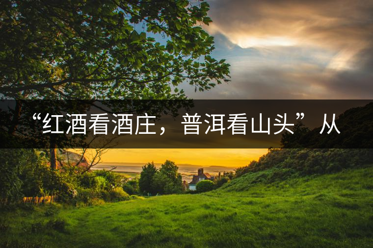 “紅酒看酒莊，普洱看山頭”從這里秒懂普洱茶的未來