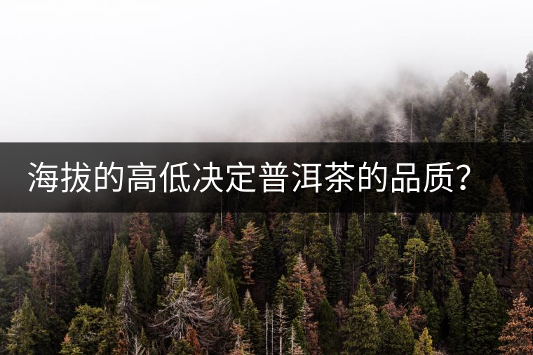 海拔的高低決定普洱茶的品質(zhì)？【附：名山頭茶海拔表】