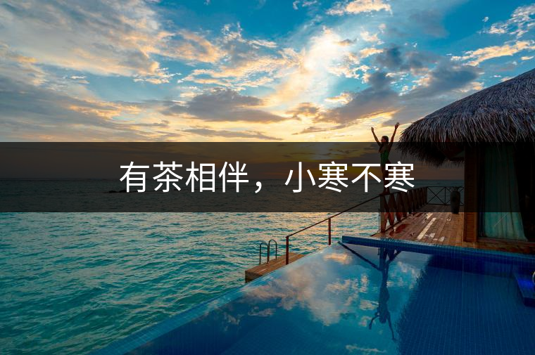 有茶相伴，小寒不寒