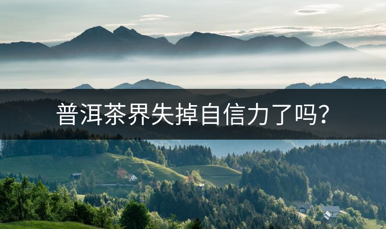 普洱茶界失掉自信力了嗎？