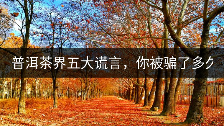 普洱茶界五大謊言，你被騙了多久？