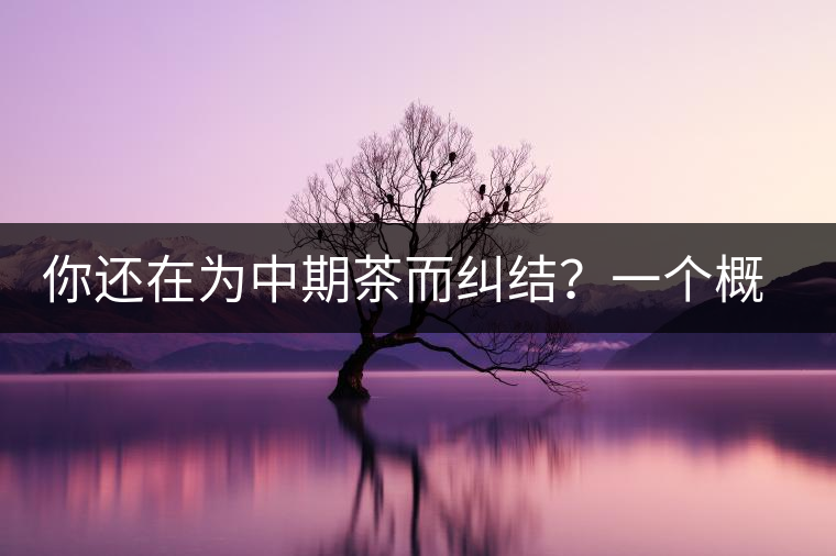 你還在為中期茶而糾結(jié)？一個概念罷了