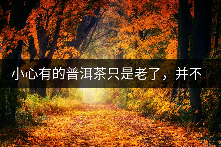 小心有的普洱茶只是老了，并不是好了