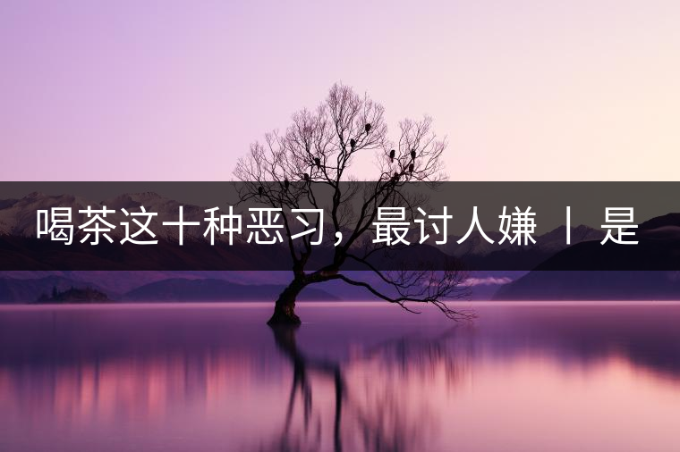 喝茶這十種惡習(xí)，最討人嫌 丨 是否同感？