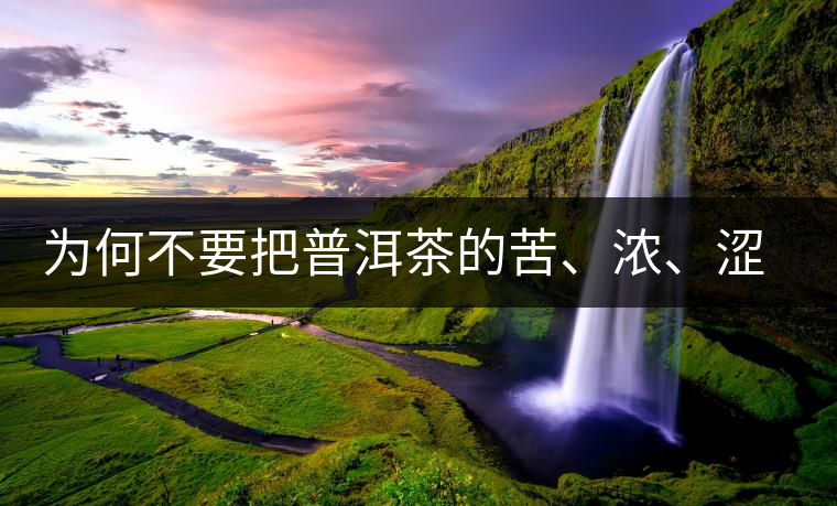 為何不要把普洱茶的苦、濃、澀味混為一談？