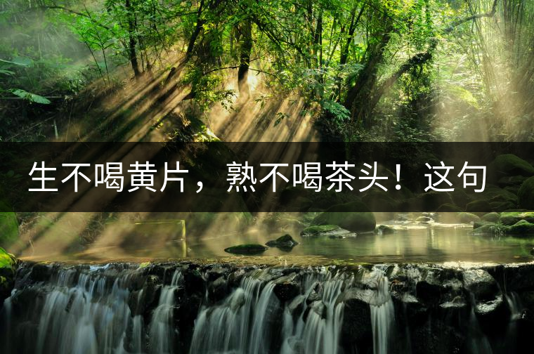 生不喝黃片，熟不喝茶頭！這句話(huà)你了解多少？