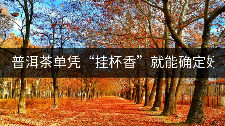 普洱茶單憑“掛杯香”就能確定好壞？you錯了！