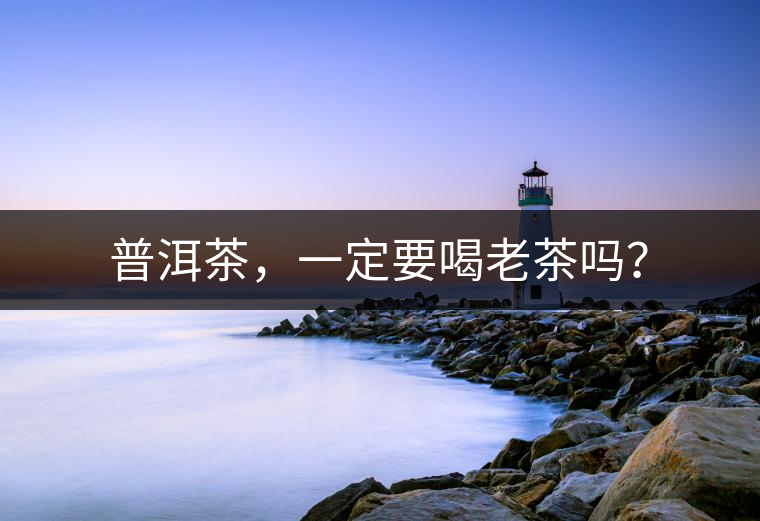 普洱茶，一定要喝老茶嗎？