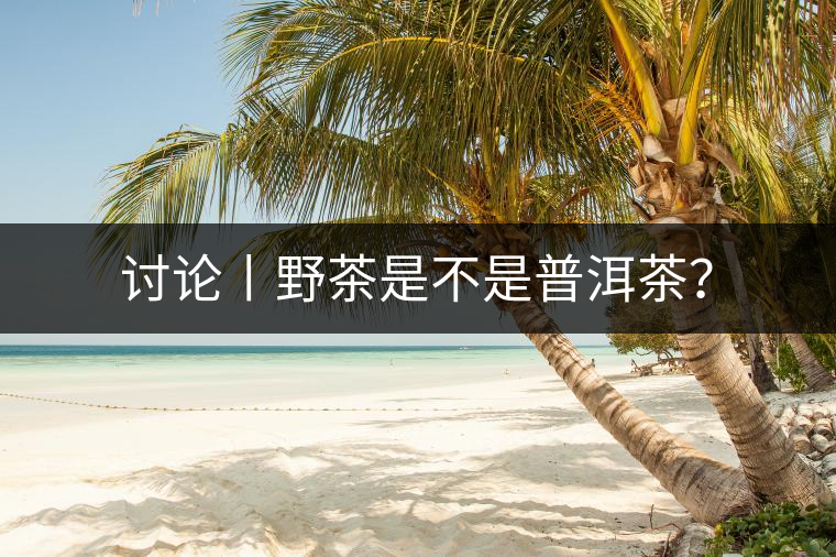 討論丨野茶是不是普洱茶？