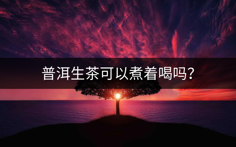 普洱生茶可以煮著喝嗎？