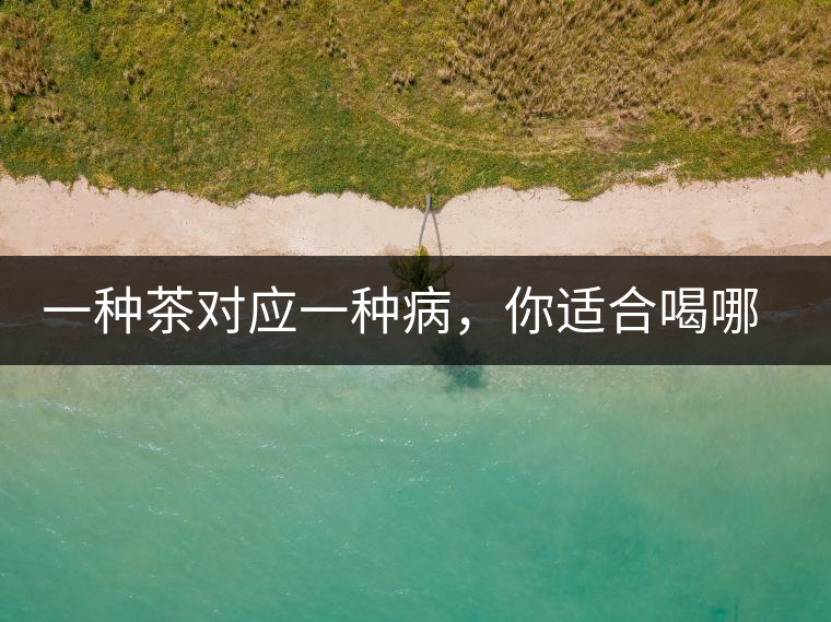 一種茶對(duì)應(yīng)一種病，你適合喝哪一種呢？