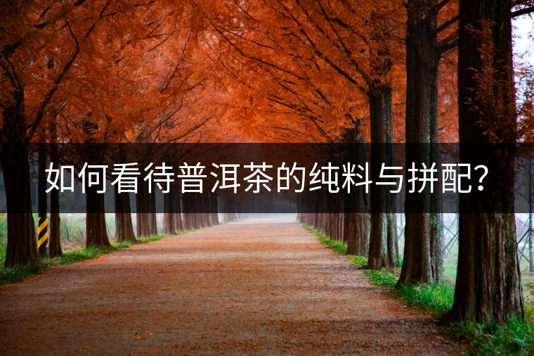 如何看待普洱茶的純料與拼配？