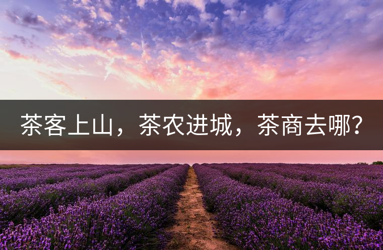 茶客上山，茶農(nóng)進城，茶商去哪？