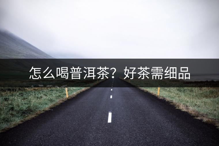 怎么喝普洱茶？好茶需細(xì)品