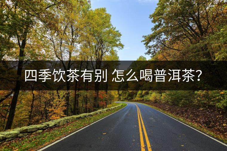 四季飲茶有別 怎么喝普洱茶？