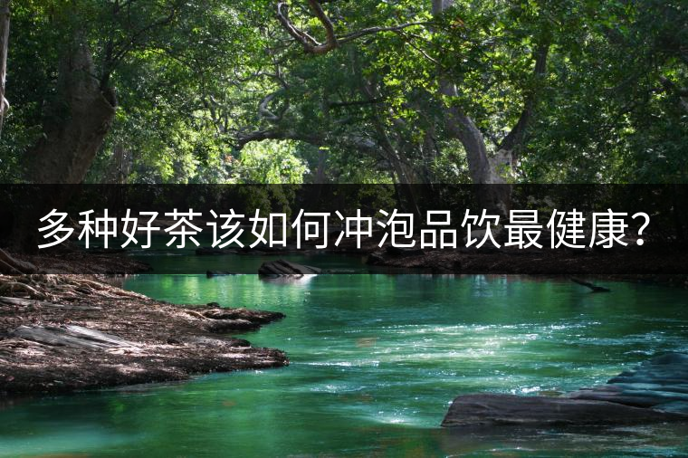 多種好茶該如何沖泡品飲最健康？