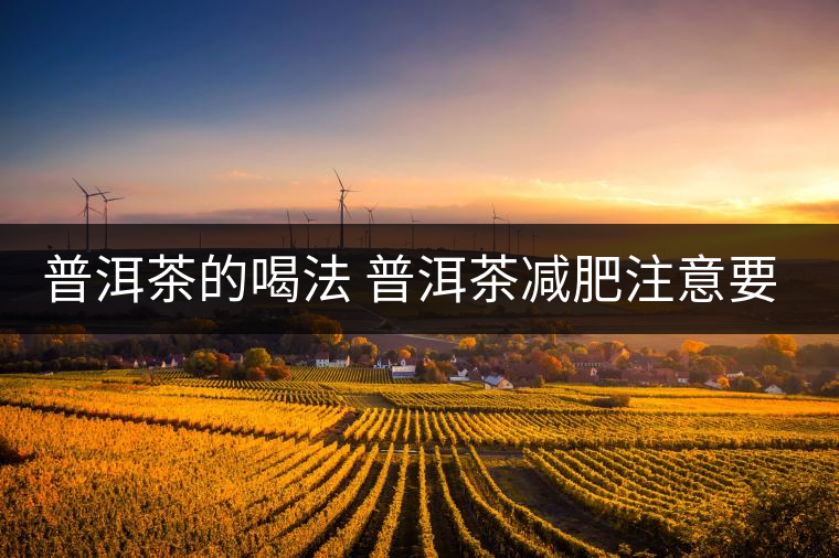 普洱茶的喝法 普洱茶減肥注意要點