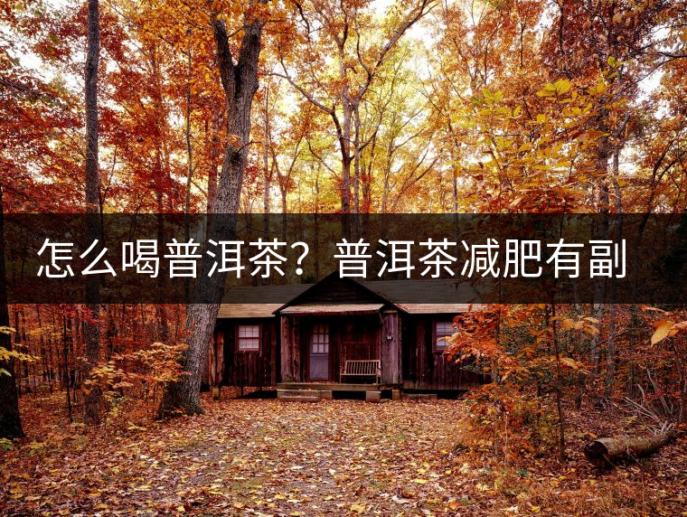 怎么喝普洱茶？普洱茶減肥有副作用嗎？
