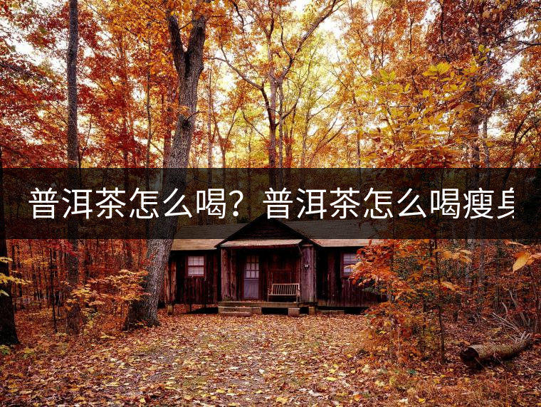 普洱茶怎么喝？普洱茶怎么喝瘦身？