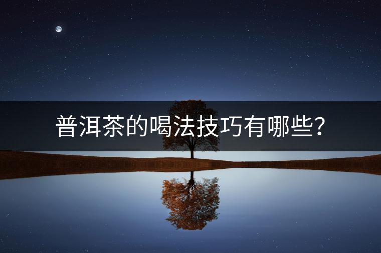 普洱茶的喝法技巧有哪些？