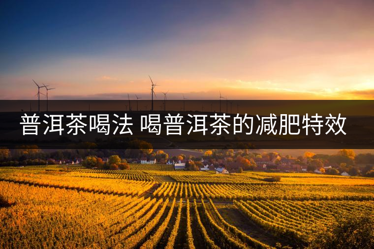 普洱茶喝法 喝普洱茶的減肥特效是什么呢？