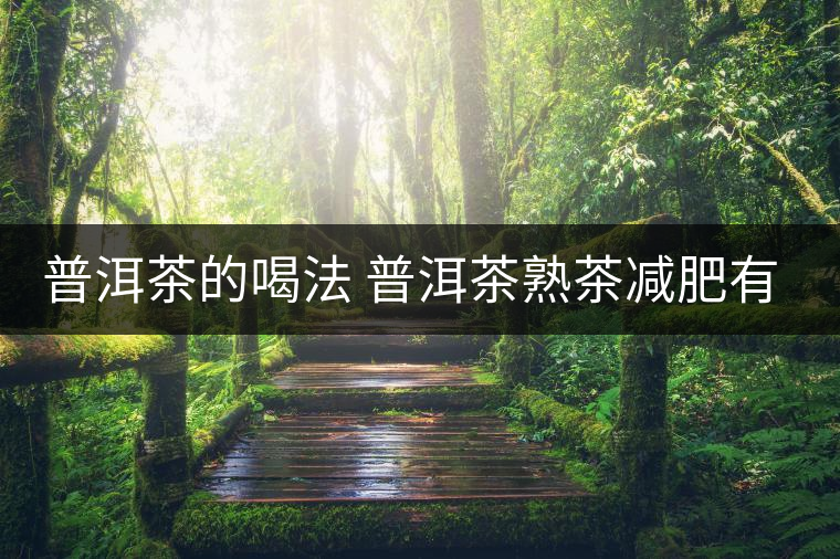 普洱茶的喝法 普洱茶熟茶減肥有什么效果嗎？