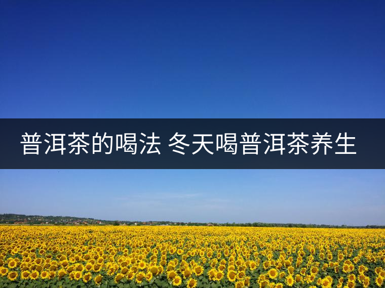 普洱茶的喝法 冬天喝普洱茶養(yǎng)生茶是一種不錯的選擇