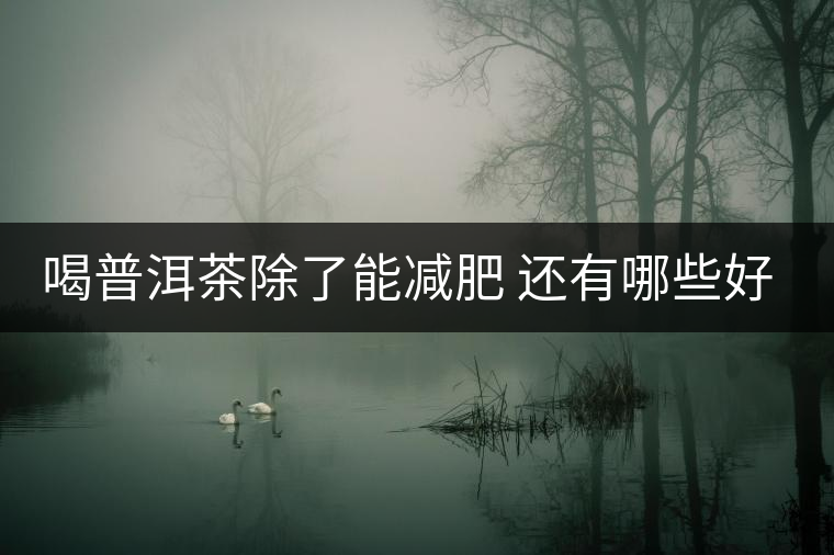 喝普洱茶除了能減肥 還有哪些好處是你不知道 喝普洱茶除了能減肥 還有哪些好處是你不知道
