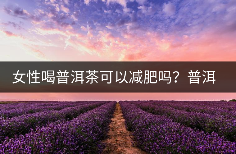 女性喝普洱茶可以減肥嗎？普洱茶的功效又有哪些呢？