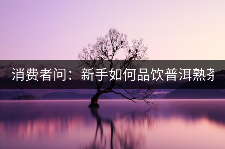 消費者問：新手如何品飲普洱熟茶？