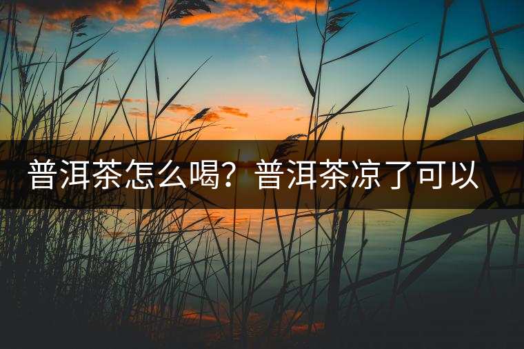 普洱茶怎么喝？普洱茶涼了可以喝嗎？