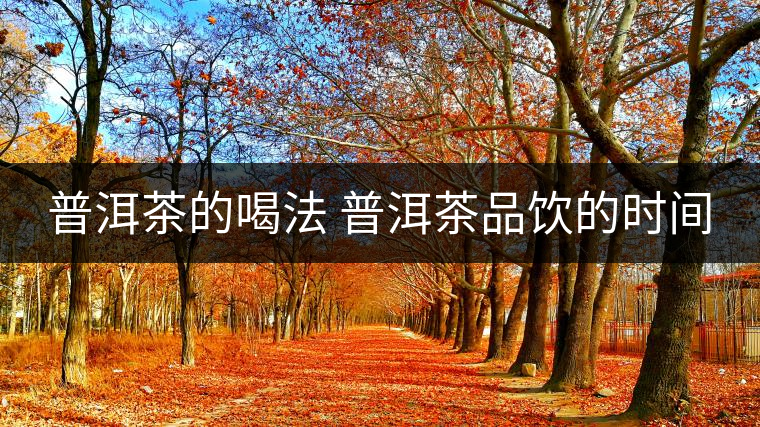 普洱茶的喝法 普洱茶品飲的時間 普洱茶的喝法 普洱茶品飲的時間