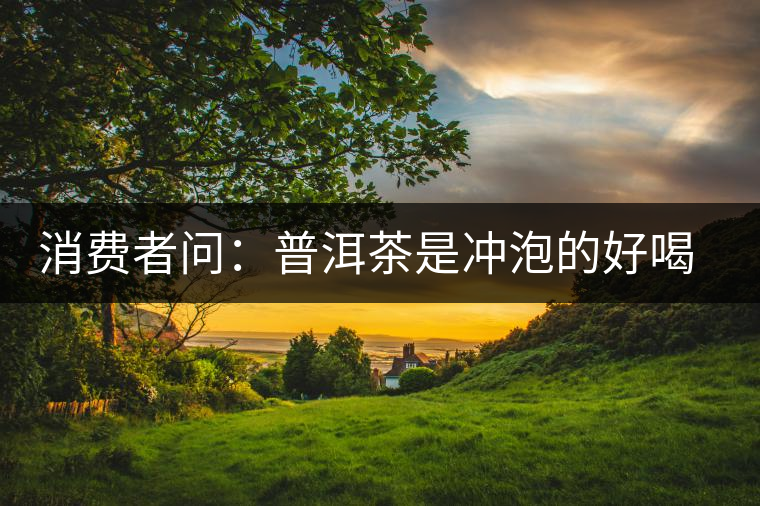 消費者問：普洱茶是沖泡的好喝？還是煮著喝好？